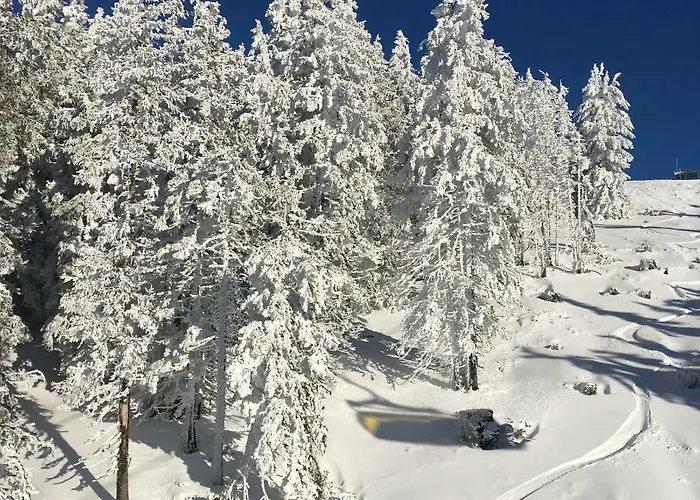 Impuls | Aparts Apartman *